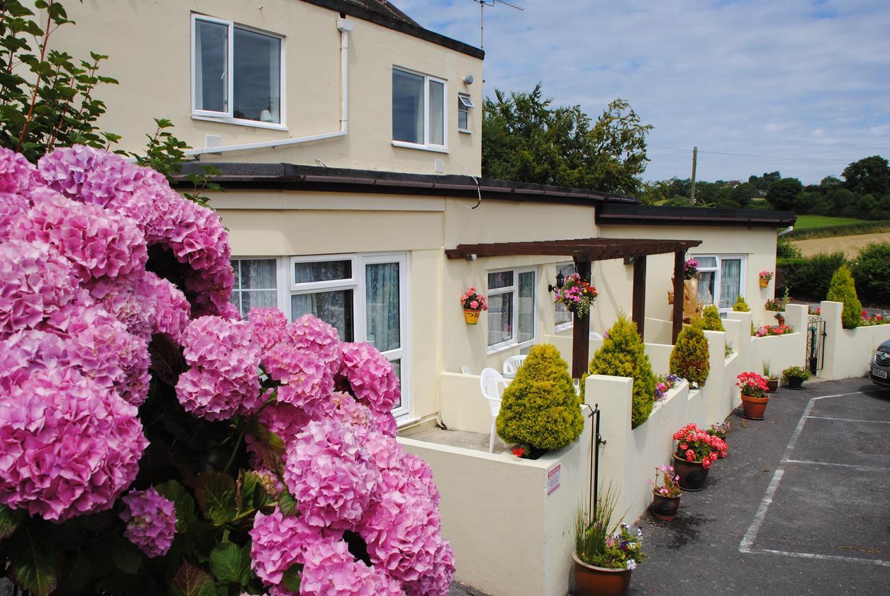 Huccaby Tor Apartmernt Torquay Exterior foto